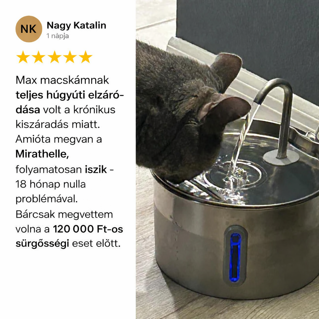 Óvd meg macskádat a vesebetegségtől és kiszáradástól a Mirathelle™-lel