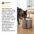 Óvd meg macskádat a vesebetegségtől és kiszáradástól a Mirathelle™-lel